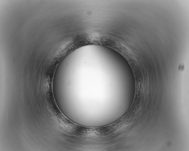 X0000094220702200711021139