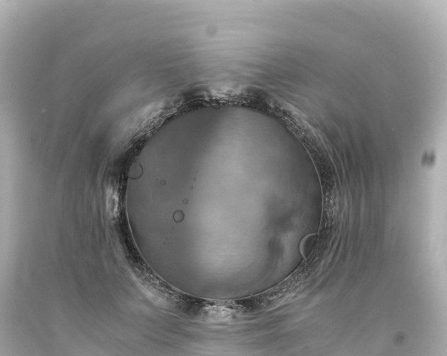 X0000094220703200711021139