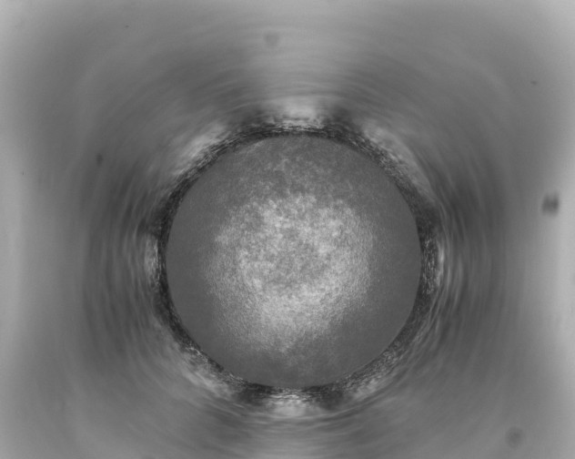 X0000094220704200711021139