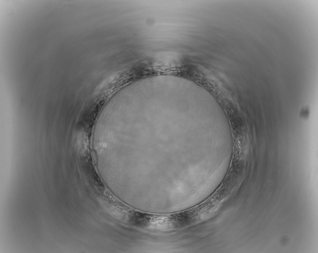 X0000094220705200711021139