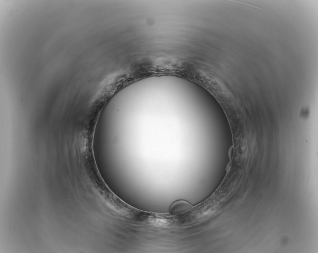 X0000094220706200711021139