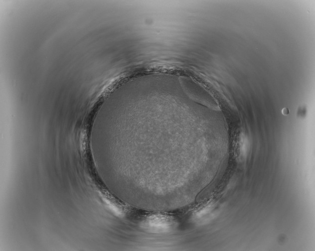 X0000094220708200711021139