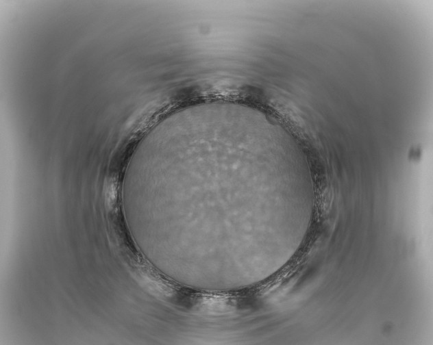 X0000094220709200711021139