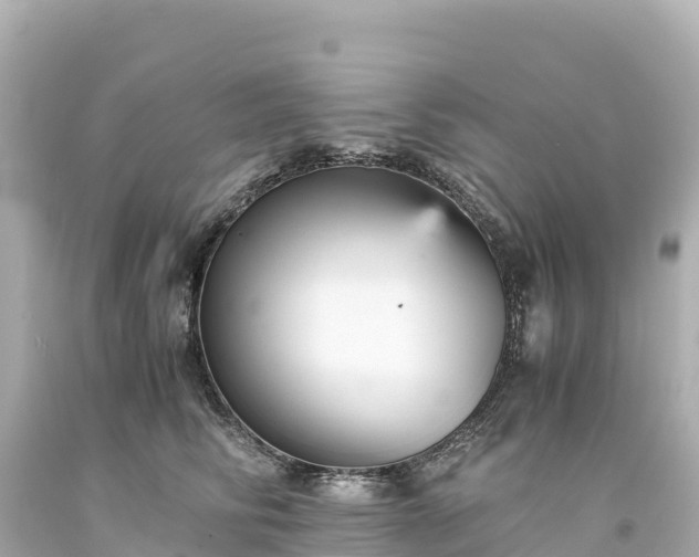 X0000094220710200711021139