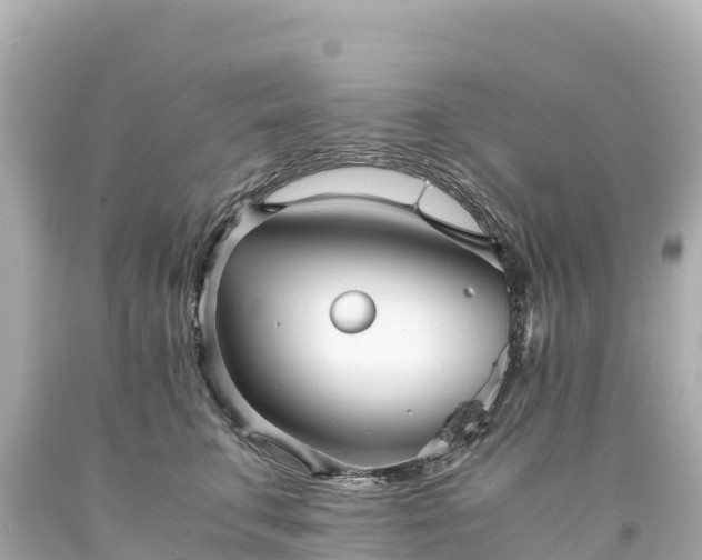 X0000094220711200711021139