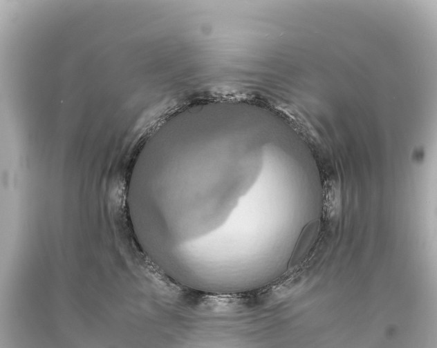 X0000094220713200711021139