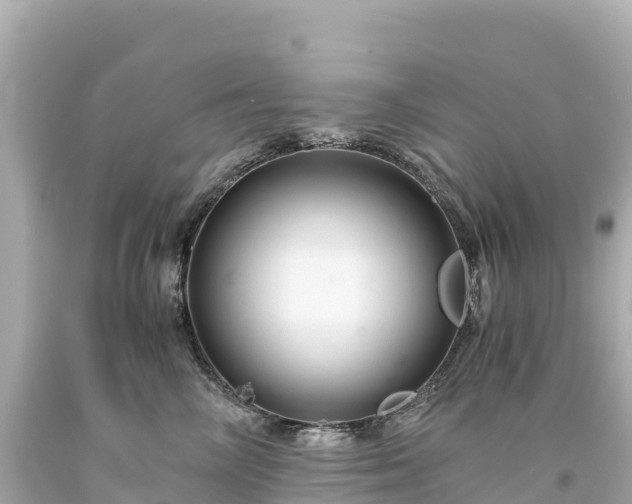 X0000094220714200711021139