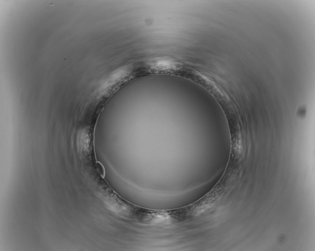 X0000094220715200711021139