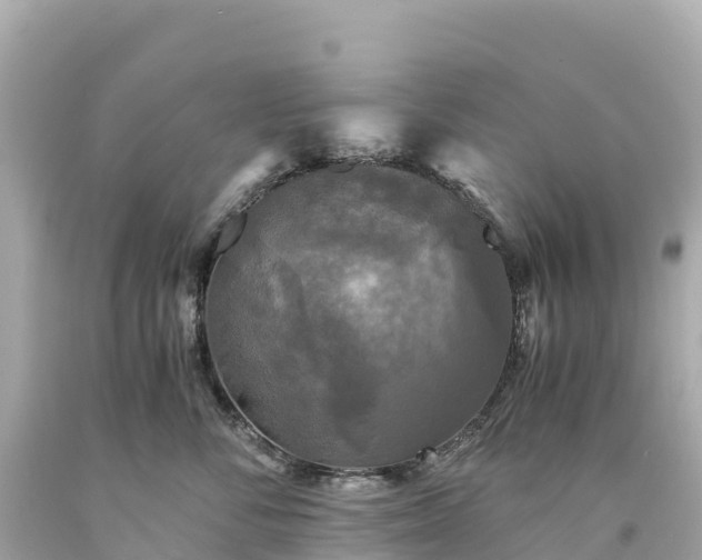 X0000094220716200711021139