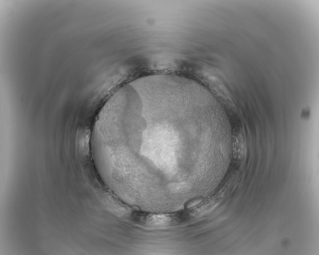 X0000094220717200711021139