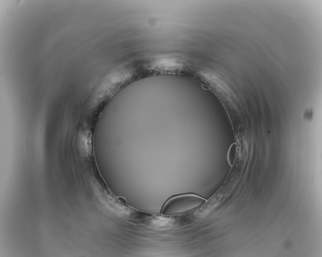 X0000094220718200711021139