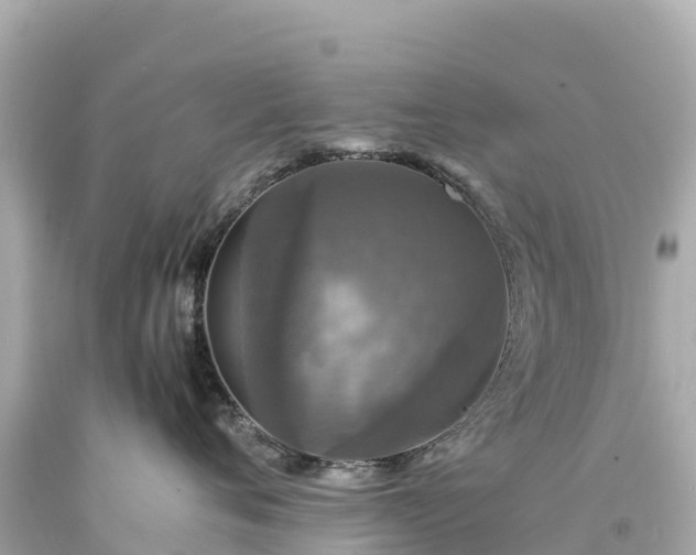 X0000094220720200711021139