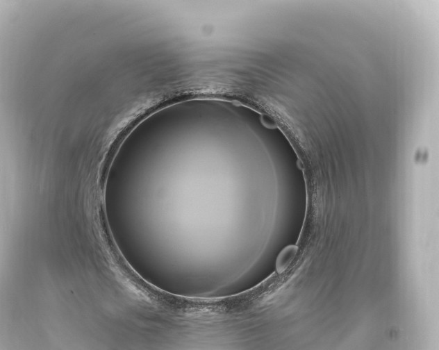 X0000094220721200711021138