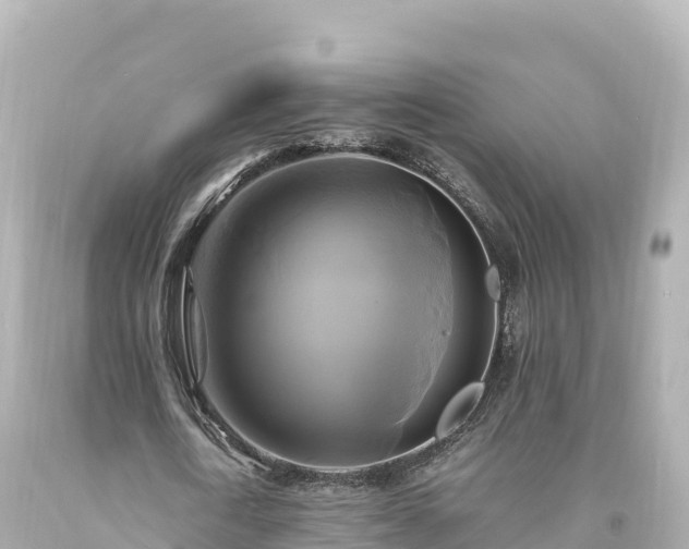 X0000094220722200711021138