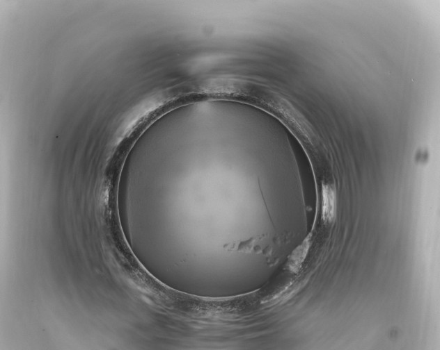 X0000094220723200711021138