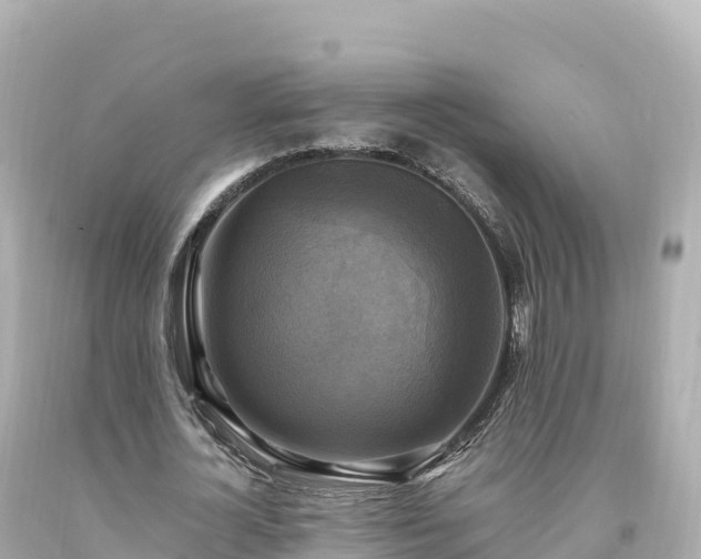 X0000094220724200711021138