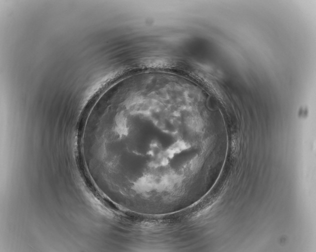 X0000094220725200711021138