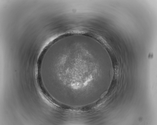 X0000094220726200711021138