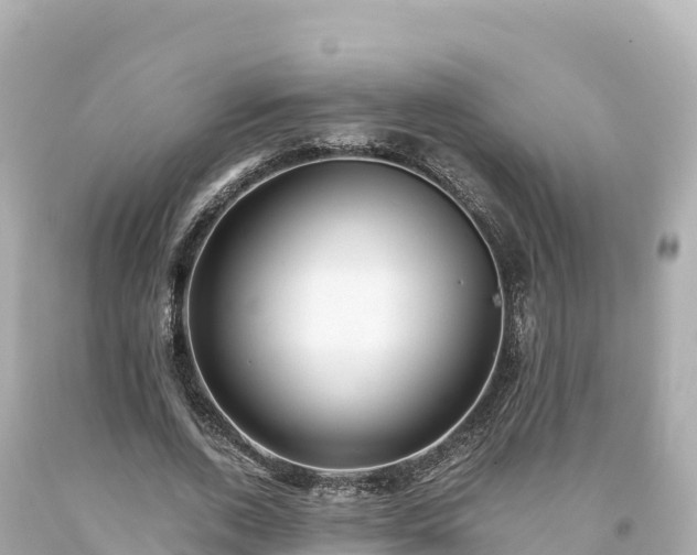 X0000094220728200711021138