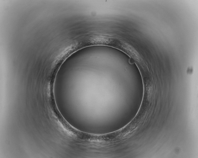 X0000094220729200711021139