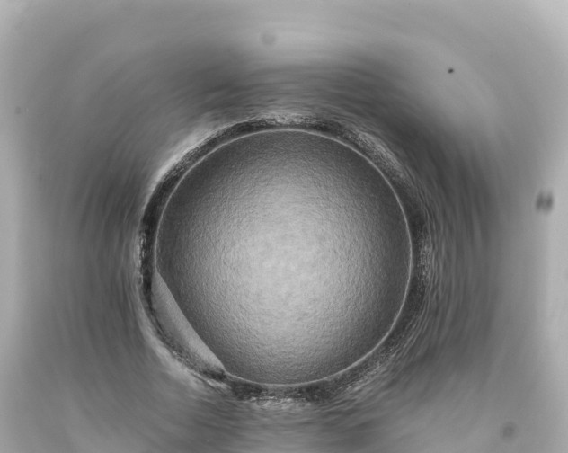 X0000094220730200711021139