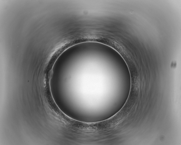 X0000094220731200711021139