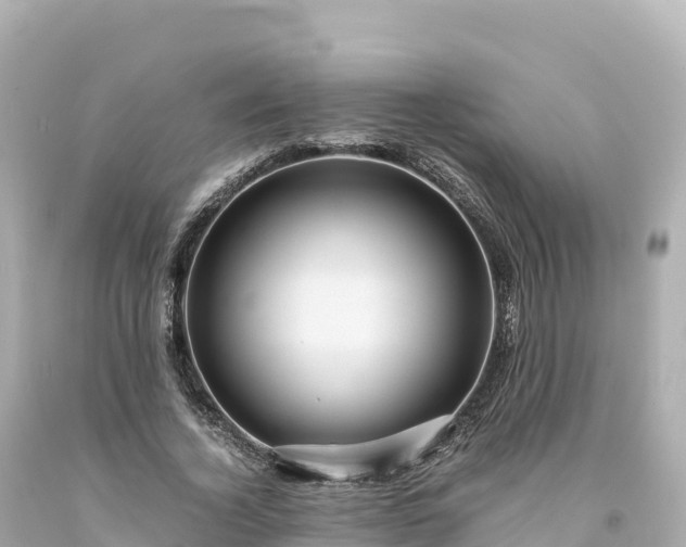 X0000094220732200711021139