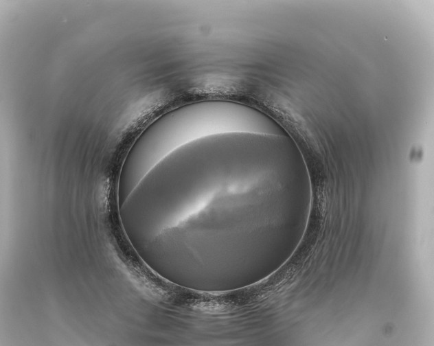 X0000094220735200711021139