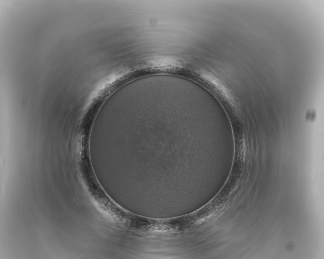 X0000094220736200711021139