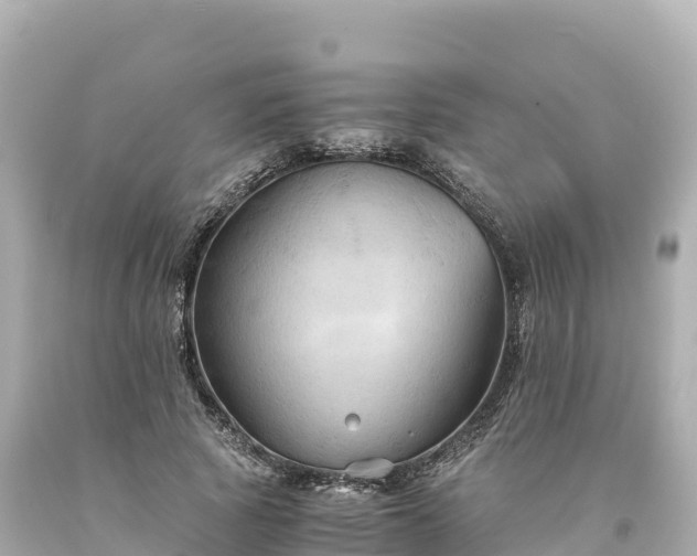 X0000094220737200711021139