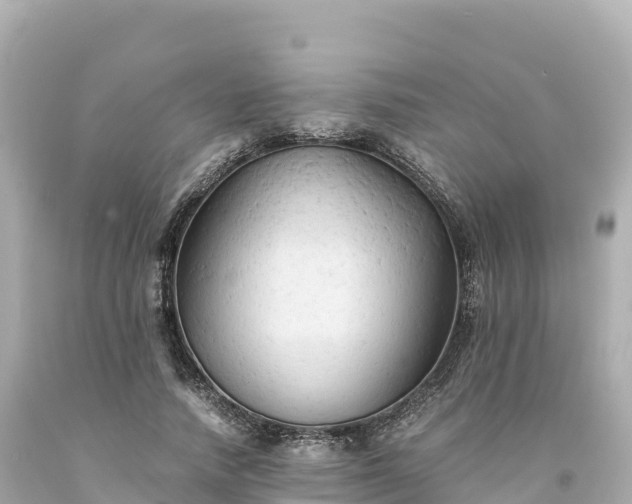 X0000094220738200711021139