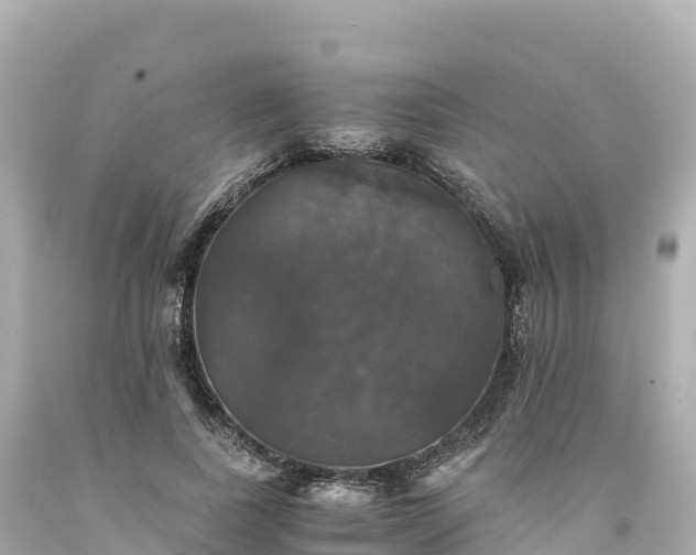 X0000094220739200711021139