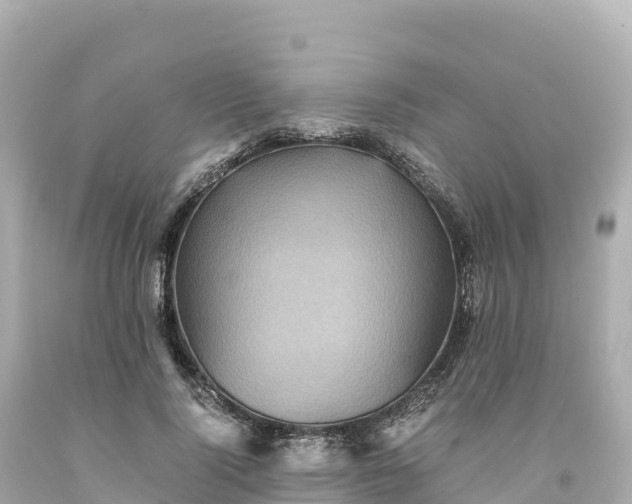 X0000094220740200711021139