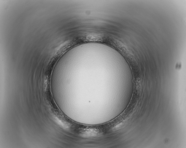 X0000094220741200711021139