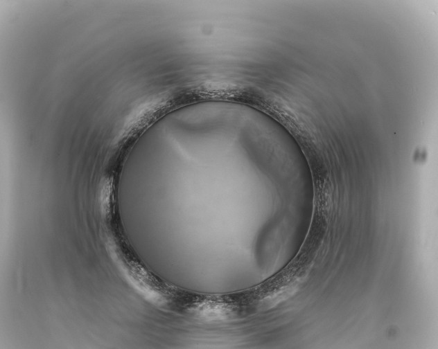 X0000094220742200711021139