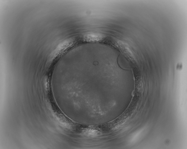 X0000094220743200711021139