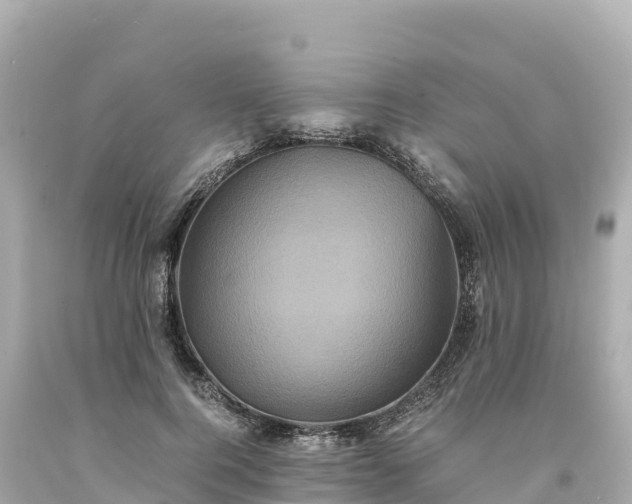 X0000094220744200711021139