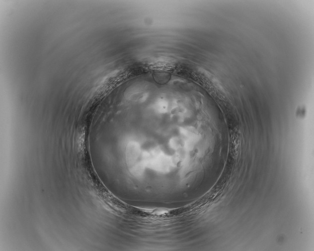 X0000094220745200711021139