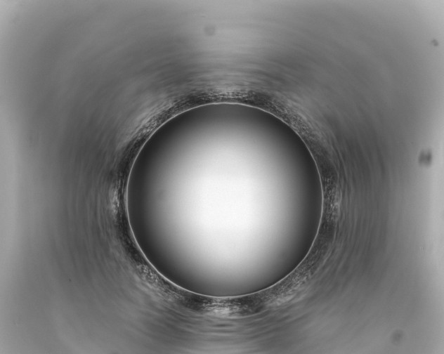 X0000094220746200711021139