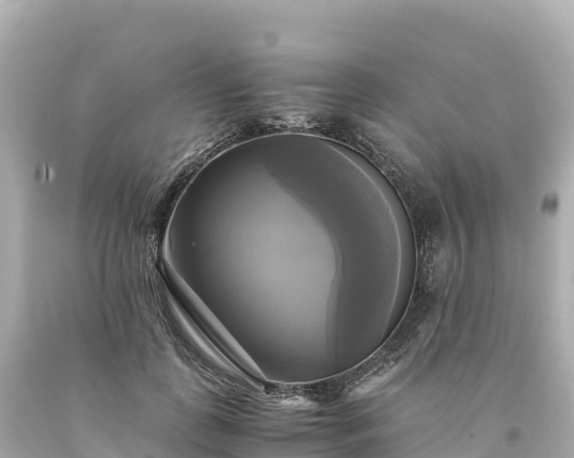 X0000094220747200711021139