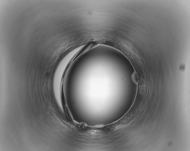 X0000094220748200711021139