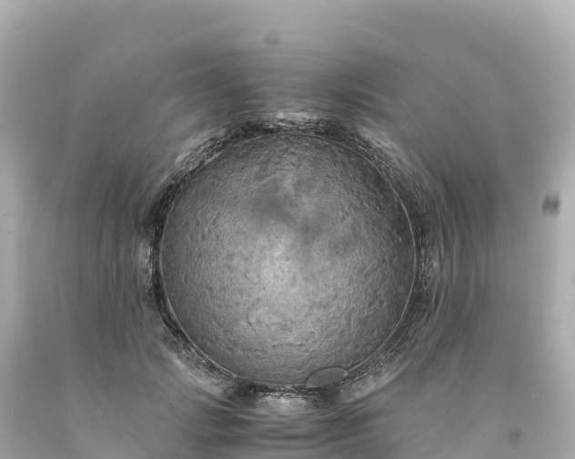 X0000094220749200711021139