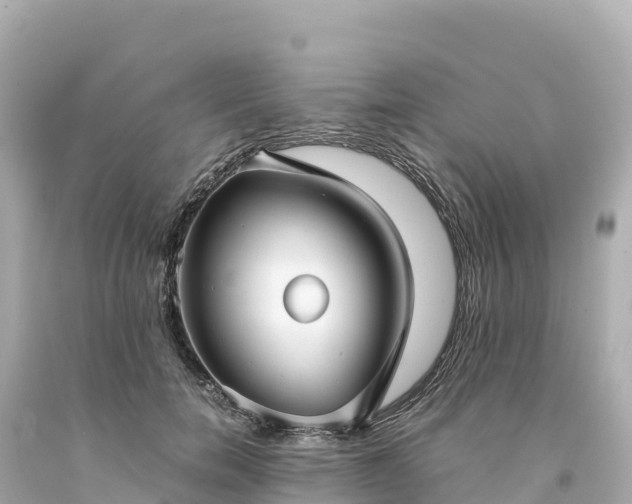 X0000094220750200711021139