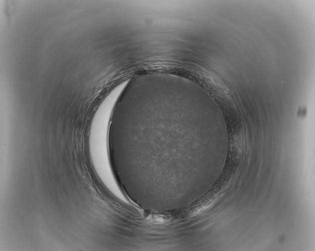 X0000094220751200711021139