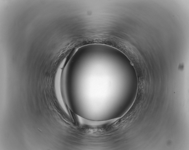 X0000094220752200711021139