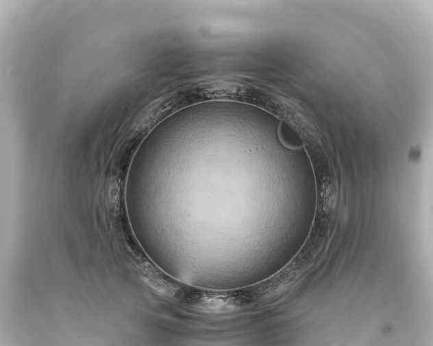 X0000094220753200711021139