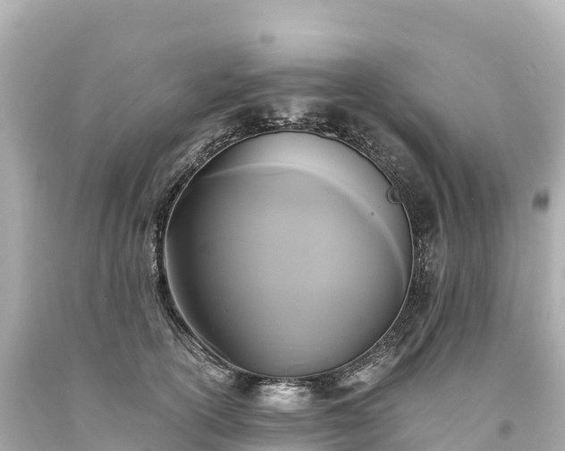 X0000094220754200711021139