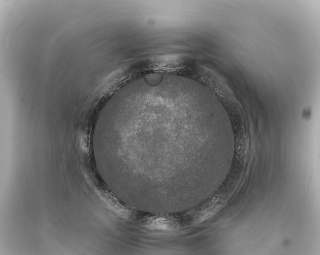 X0000094220755200711021139