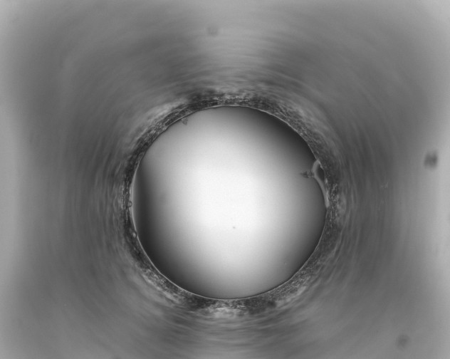 X0000094220756200711021139