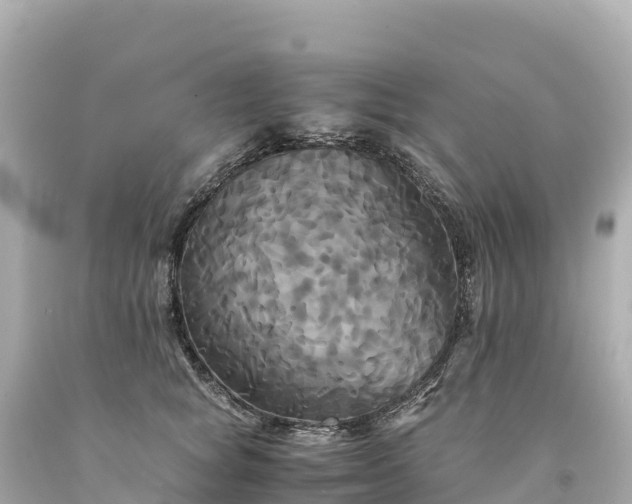 X0000094220757200711021139